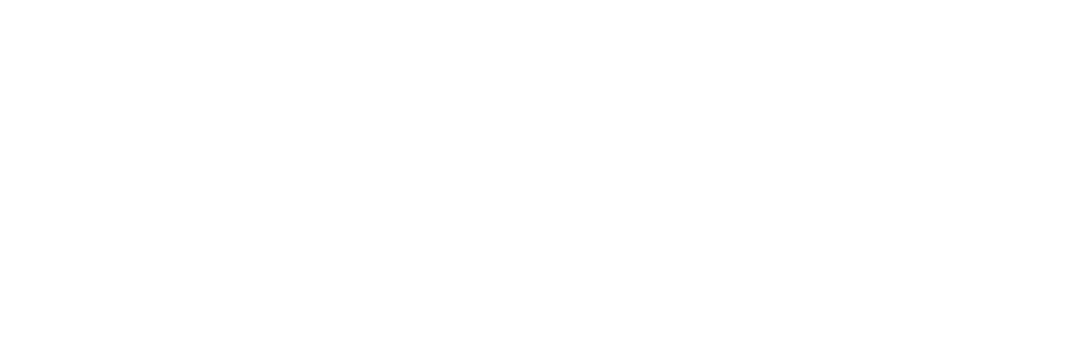 Blue IT Systems